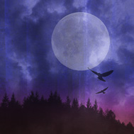 Witches Garden Post Song Lunar Rites